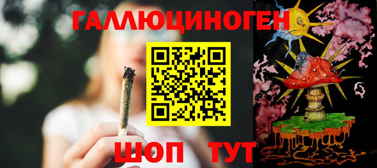 Галлюциногенные грибы прущие грибы  Вход с VPN  Нарткала 