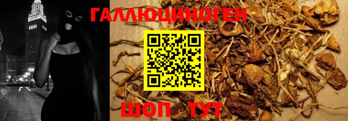 Псилоцибиновые грибы Magic Shrooms Нарткала